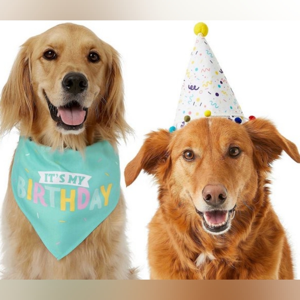 EUC Dog or Cat Birthday Bandanas and Birthday Hats - Size XS/S
